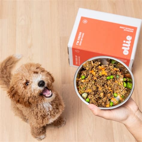 Read up on Ollie's new baked dry food recipe, a minimally processed alternative to kibble. Free of preservatives, the dog food is made with chicken, chickpeas, eggs, and veggies.